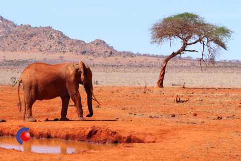 Zonsondergang in stad in Afrika