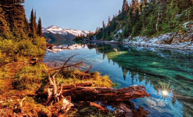 Natuur van Canada in de stad Vancouver