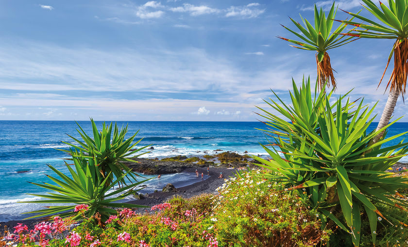 Tenerife zee en natuur