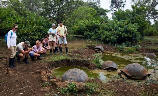 Turtle Ranch Galapagos